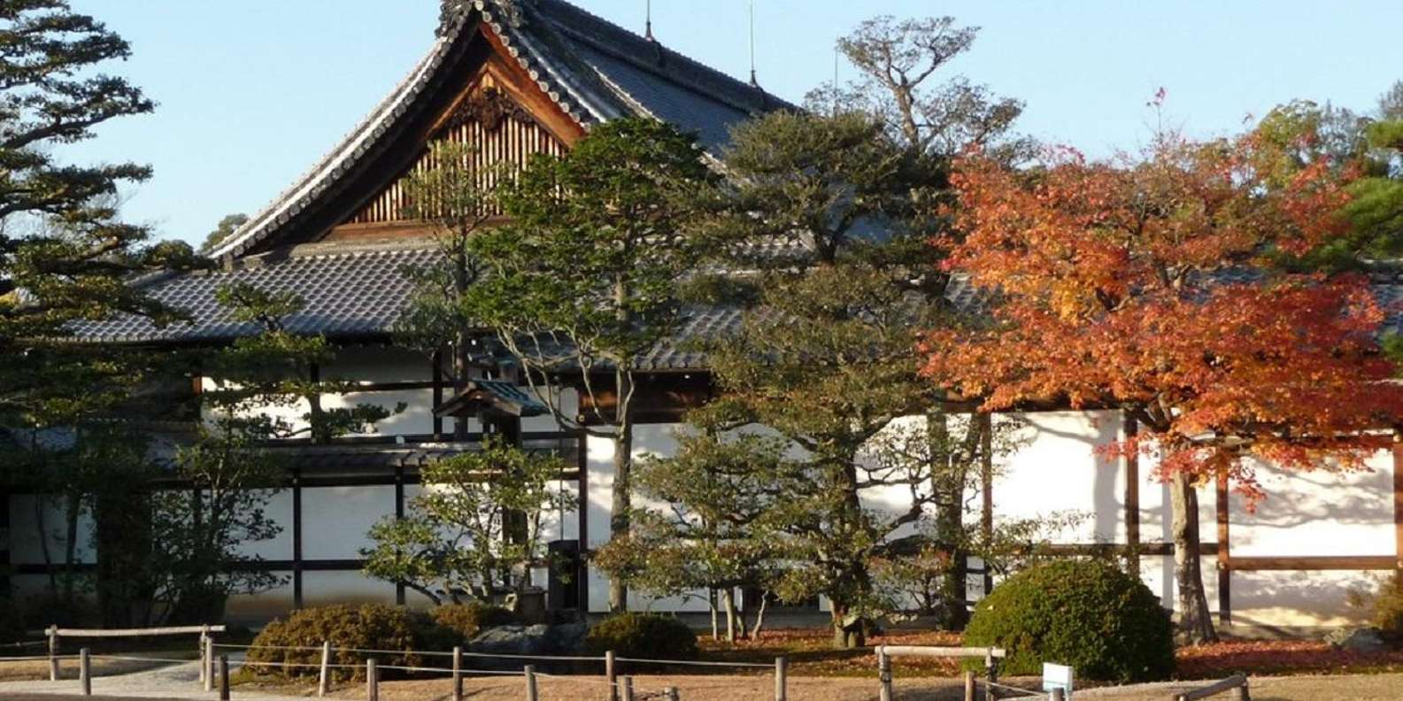 Kyoto experience — temples, geisha, bamboo grove — image 22