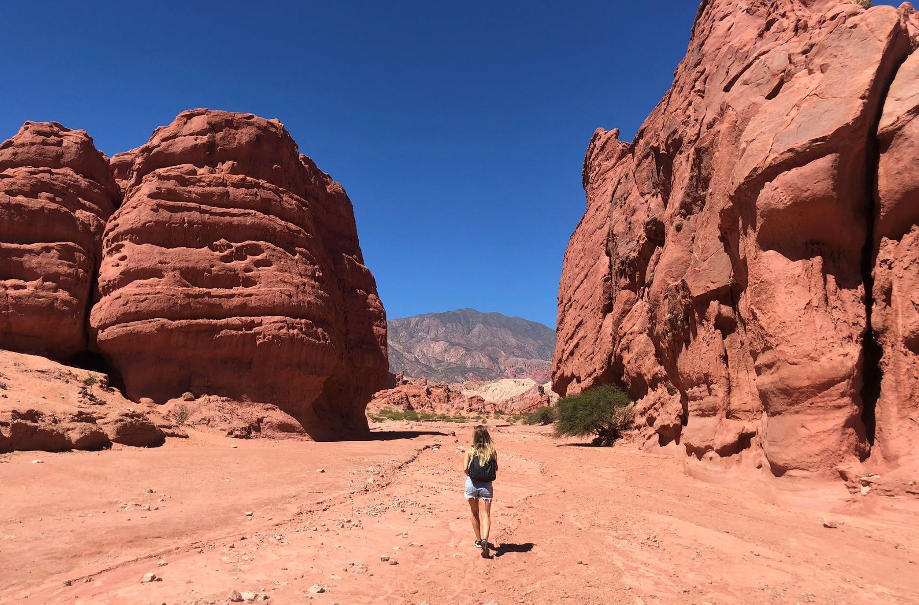Von Salta: Die Calchaqui Valley Weingut-Tour in Cafayate