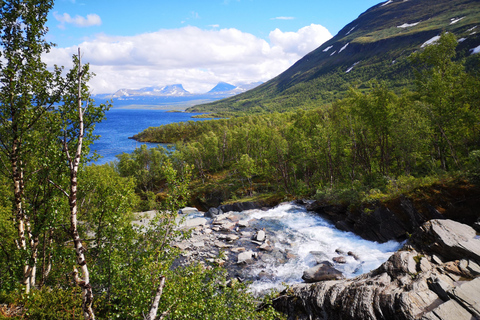 Kiruna: Abisko National Park Guided Day Tour with Lunch