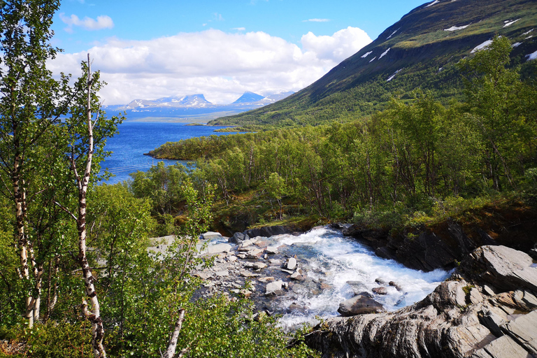 Kiruna: Abisko National Park Guided Day Tour with Lunch