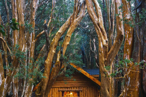Navigation through Isla Victoria and Bosque de Arrayanes