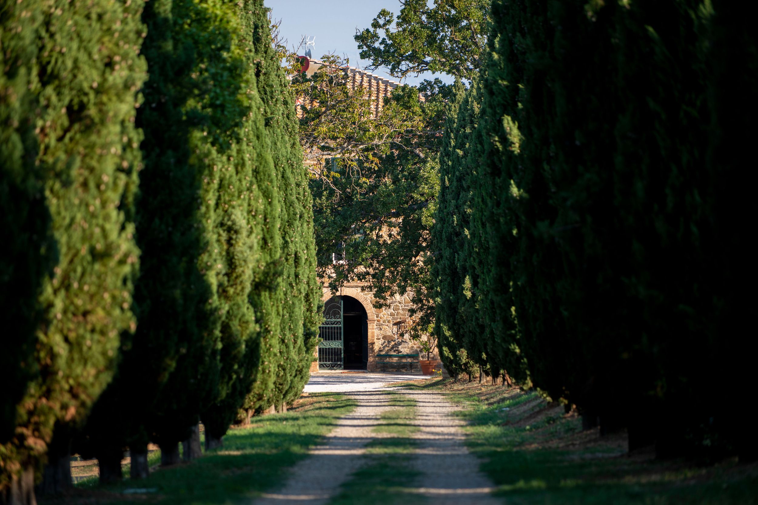 Montalcino: Kurs für frische Pasta mit Mittagessen und Wein
