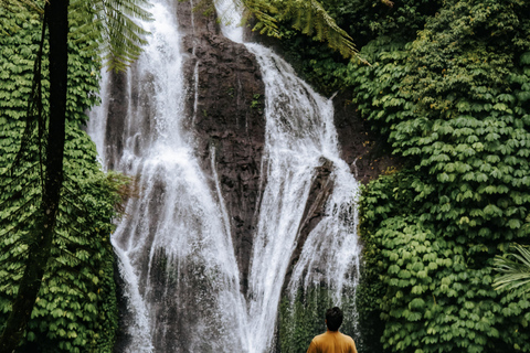 Bali: Private Shore Excursion from Celukan Bawang Port Best Asian Tour Picks – Shared Experiences ( Full Day )