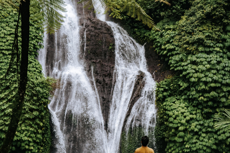 Bali: Private Shore Excursion from Celukan Bawang Port Best Asian Tour Picks – Shared Experiences ( Full Day )