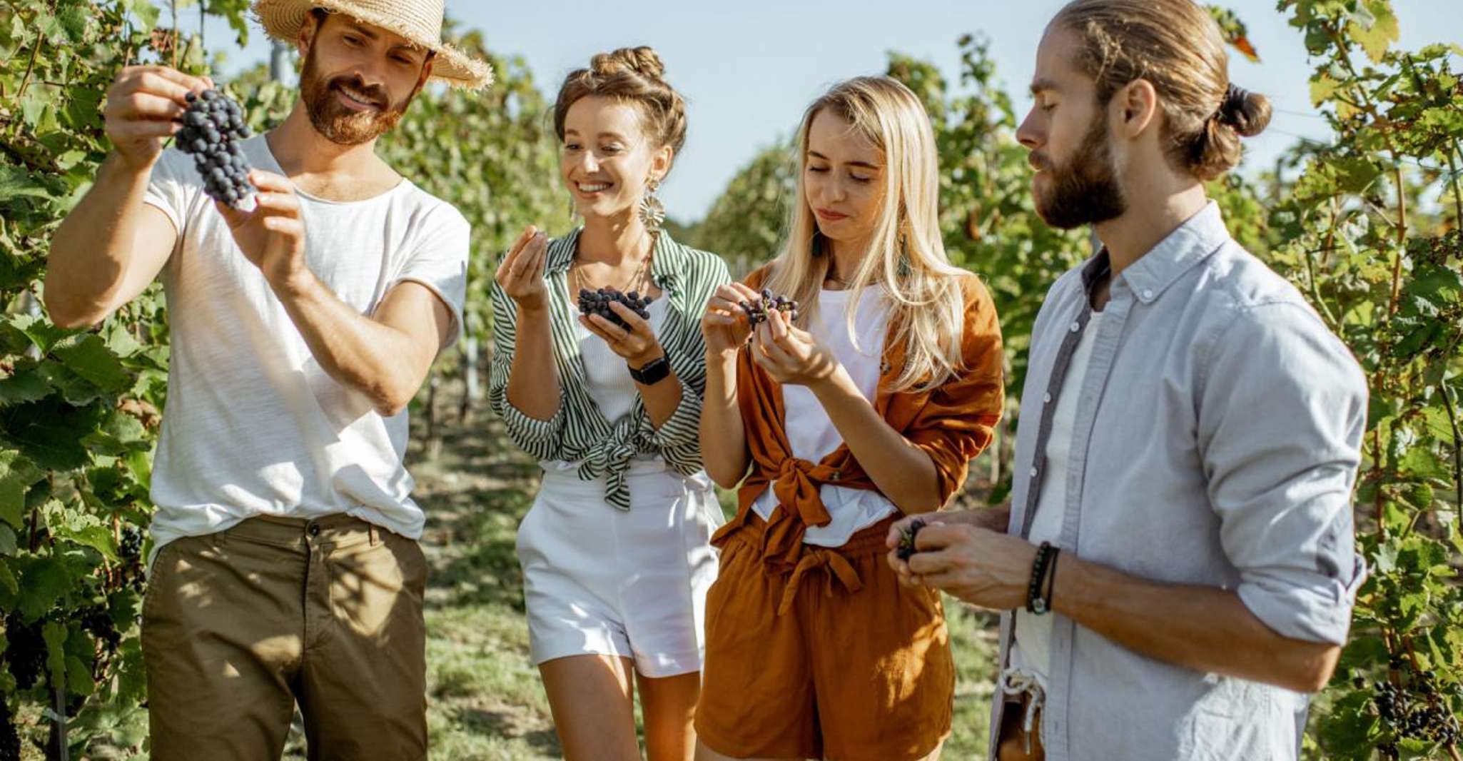 Grape Escapes Full-Day Wine Tour in Ithaca - Housity