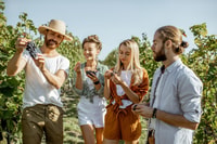 Traube entkommt Ganztages-Weintour in Ithaca - Housity