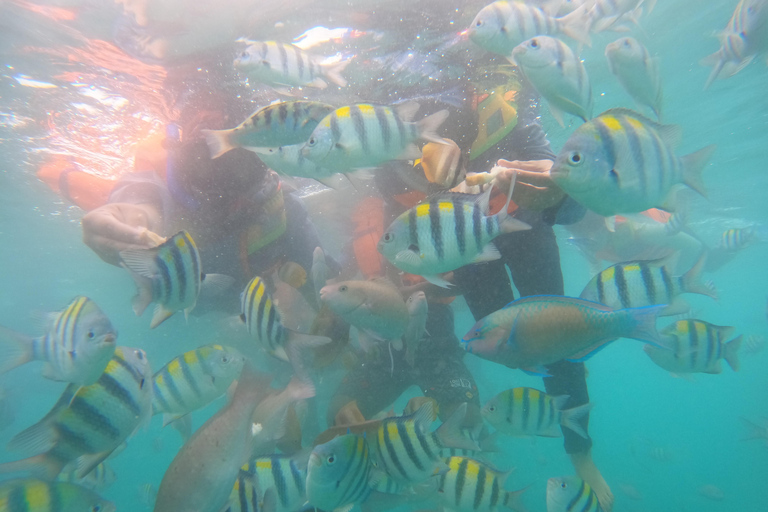 Viagem de 1 dia 5 Gilis secretos: Layar, Rengit, Nanggu, Tangkong, Kedis