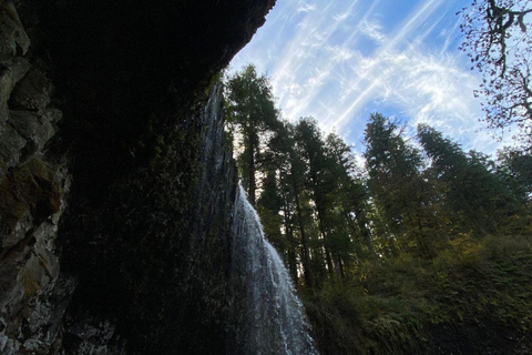 Portland: Wasserfallwanderung im Silver Falls State ParkPortland: Wanderung zu den Wasserfällen im Silver Falls State Park