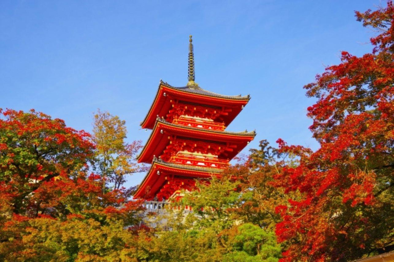 A partir de Nagoya: Excursão de um dia a Quioto com almoço de shabu-shabu de porcoDe Nagoya: Excursão de um dia a Quioto com almoço de shabu-shabu de porco