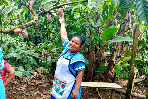 Indigenous Cacao Tour in Bocas del Toro