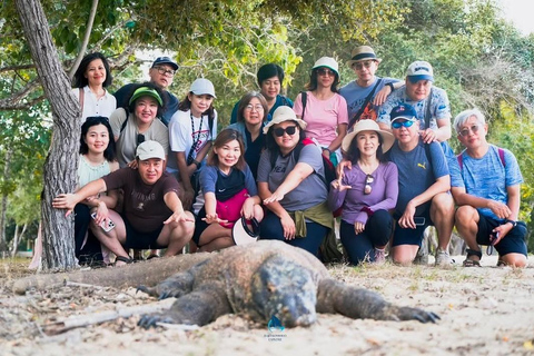 From Labuan Bajo: Komodo Islands Full-Day Boat Trip