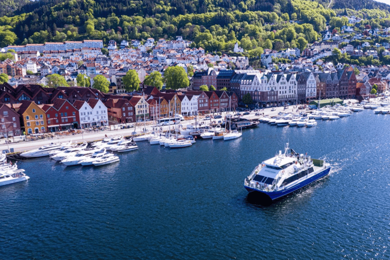 Bergen Day Trip: City & Fjord