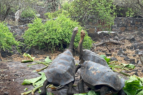 Excursión de 4 días por tierra a GalápagosExcursión de 4 días a Galápagos Tierra