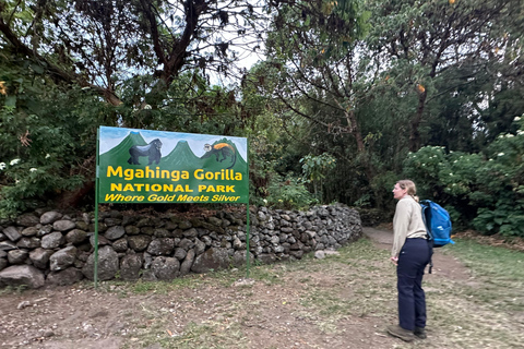 3-daagse gorillatrektocht Mgahinga Gorilla NP Oeganda via Rwanda