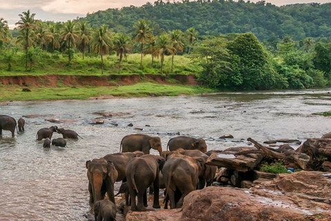 Colombo to Pinnawala & Kandy – Private Cultural Day Tour