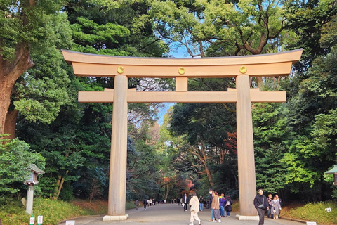 Tokyo Luxury Private City Tour Customizable with Guide