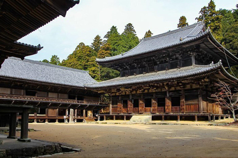 Kyoto/Osaka;Mount Koya & Wakayam Private Day Trip with Guide