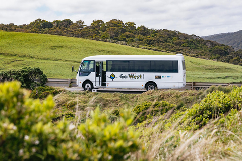 Från Melbourne: Heldagsutflykt till Great Ocean RoadFrån Melbourne: Heldagsutflykt på &quot;Great Ocean Road&quot;