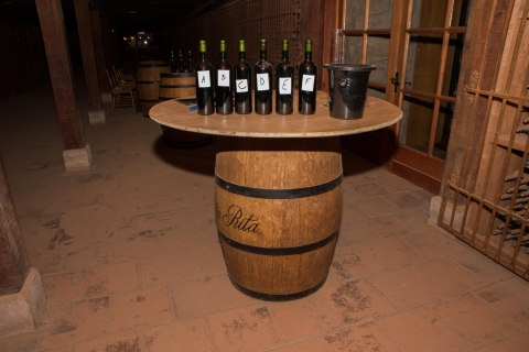 Santa Rita : Dégustation de vin Ultra Premium, visite et transport