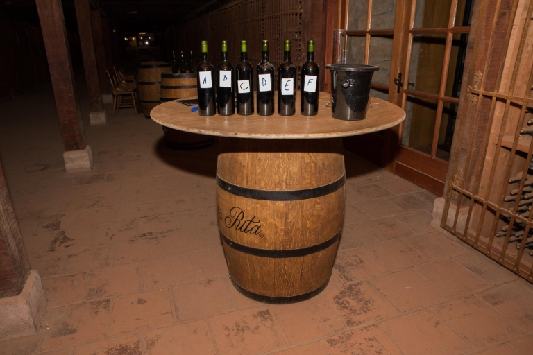 Santa Rita: Ultra Premium Weinverkostung, Tour und Transport