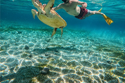 Gili Air: Private 4-Hour Snorkeling Tour