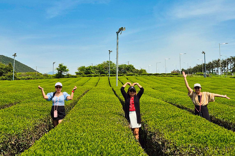 Jeju: UNESCO WestSouth & East Highlights 2 Days Combo Tour