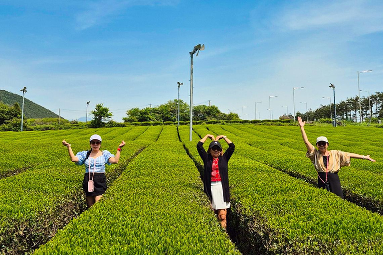 Jeju: UNESCO WestSouth & East Highlights 2 Days Combo Tour