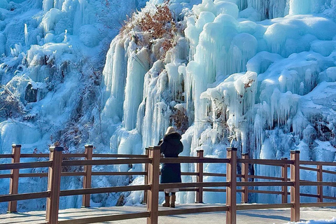 Da Seoul : Valle di Eobi, Isola di Nami, Mondo degli AlpacaPartenza dalla stazione universitaria di Hongik Uscita 4