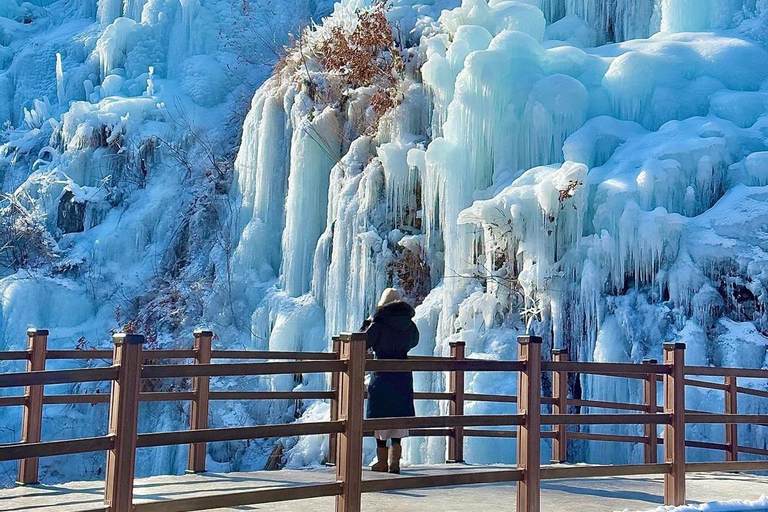 Da Seoul : Valle di Eobi, Isola di Nami, Mondo degli AlpacaPartenza dalla stazione universitaria di Hongik Uscita 4