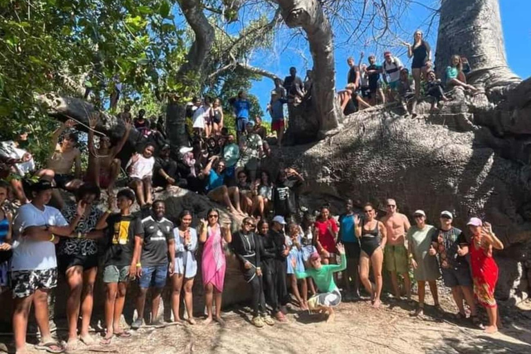 Zanzibar: Blue Safari & Snorkeling with Lagoon Full-Day Tour Private tour with hotel transfer but entry fee not included