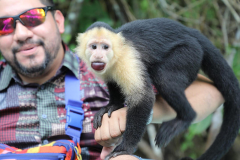 Tour in barca della fauna selvatica di Panama Gamboa e Centro Visitatori del Canale