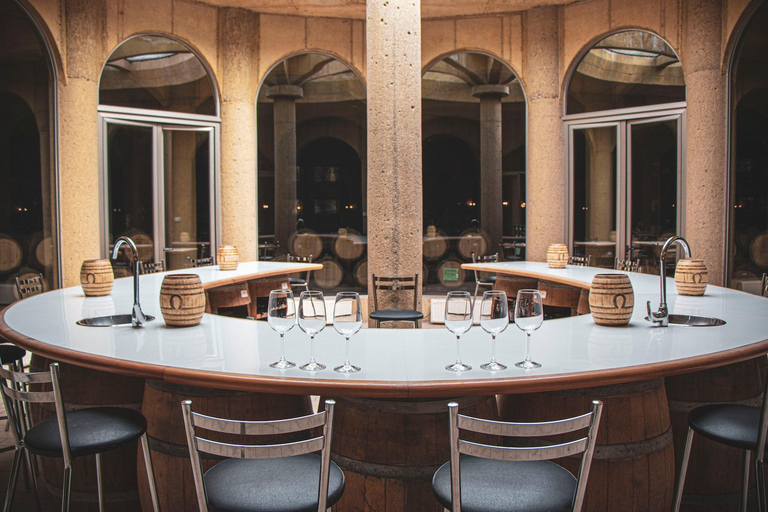 Expérience Haras : escapade dans les vignobles, vin et dégustationsExpérience Icono – 4 dégustations de vin