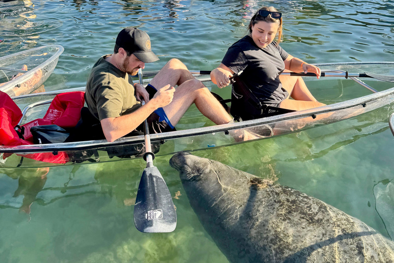 Crystal River: Three Sisters Spring Manatee Clear Kayak Tour