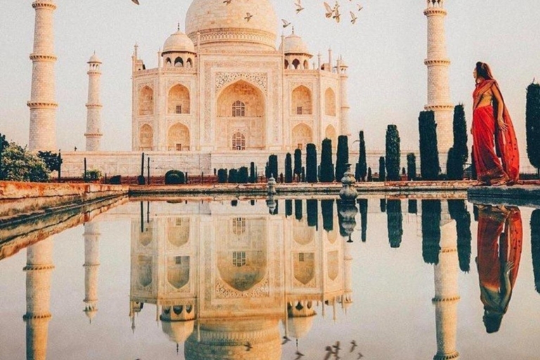 Delhi: visite du même jour du Taj Mahal, du Fort Rouge et du Baby Taj
