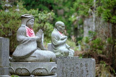 Från Osaka/Kyoto: Mount Koya &amp; Wakayama TourMed Nachi vattenfall