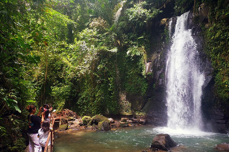 Ubud: Monkey Forest, Water Temple, Rice Terrace & Waterfall Ubud Full Day Tour 8-12 hours