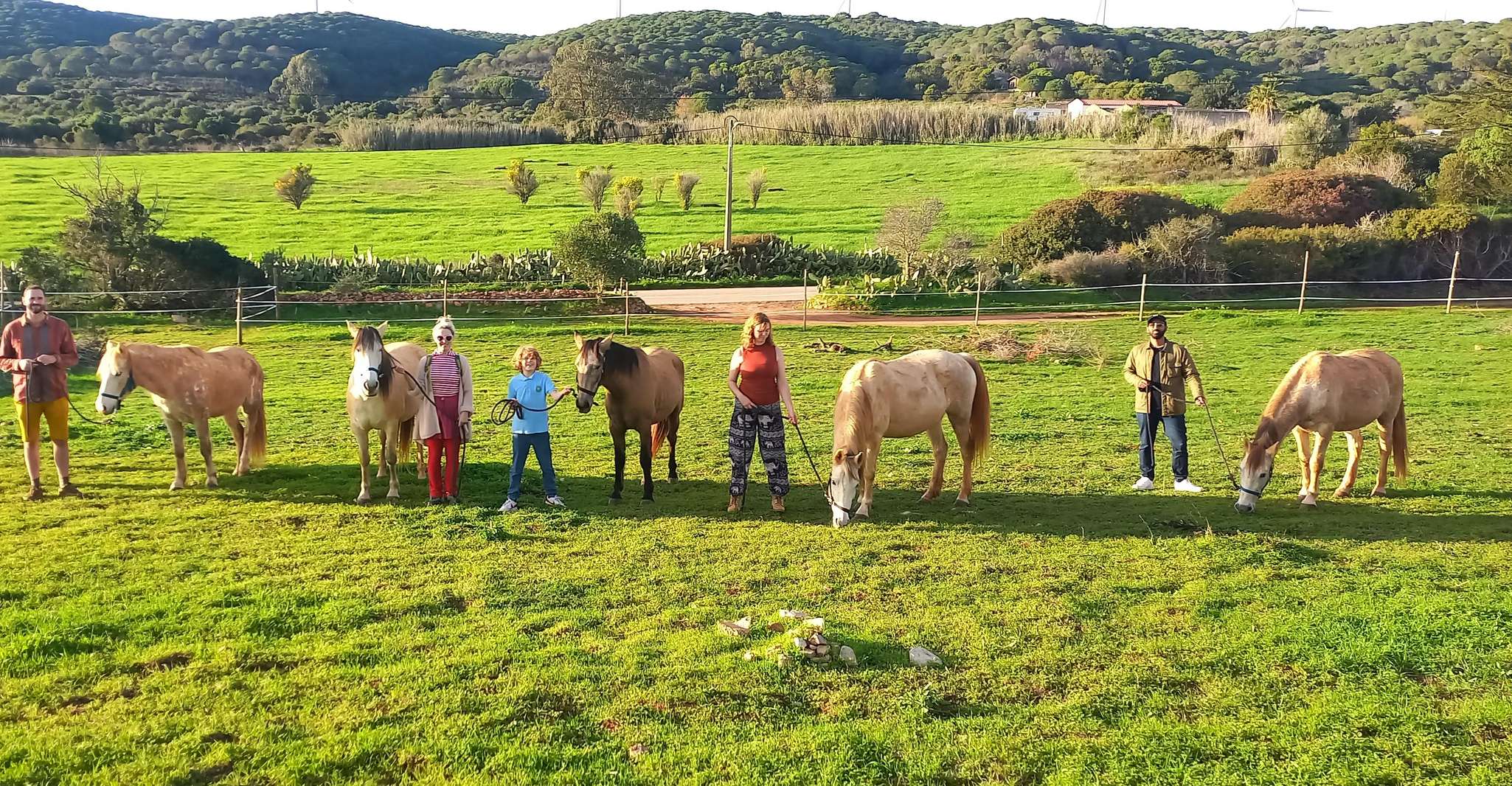 Lagos, una passeggiata con un cavallo salvato al santuario - Housity