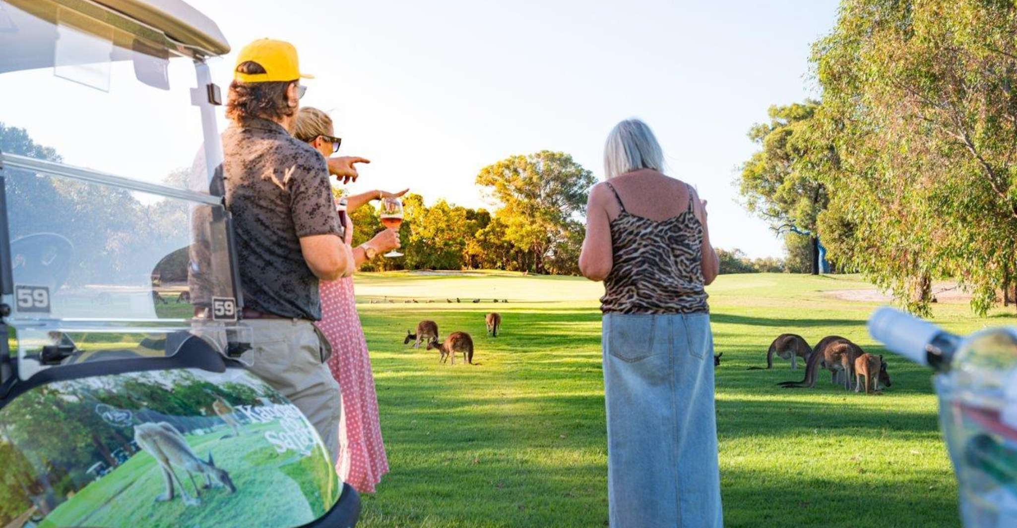 Swan Valley, Golf Cart Kangaroo Safari w/ Mini Golf & Drink - Housity