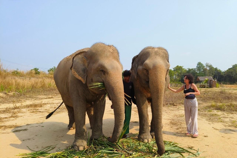 Siem Reap: Elephant Sanctuary Cambodia, Pickup and Drop Off