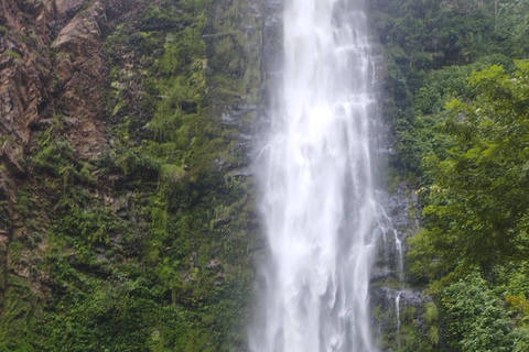 Regione di Volta; Santuario delle scimmie di Tafi Atome e cascata di Wli ...