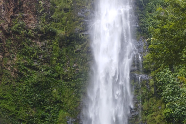 Região de Volta; Santuário de macacos de Tafi Atome e cascata de Wli ...