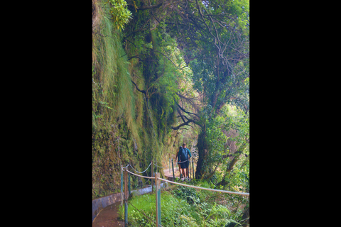 From Funchal: Wet your hair in the amazing Moinhos Levada