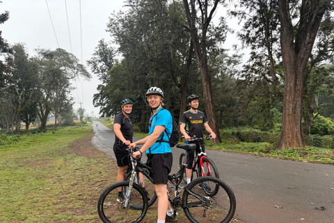 From Moshi: Kilimanjaro Mweka Gate Guided Cycling Tour