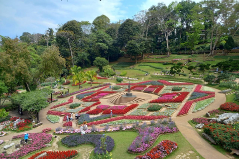 Chiang Rai: Mountains Discovery Doi Mae Salong & Doi Tung Mountains Discovery:Doi Mae Salong & Doi Tung (Private Tour)