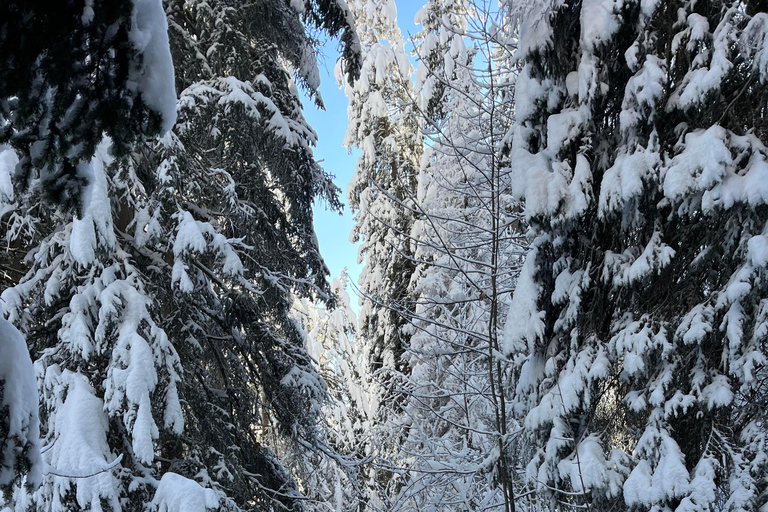 Jornada de senderismo en los Alpes suizosAventura con raquetas de nieve y fondue en los Alpes suizos