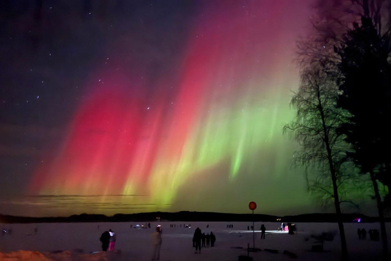 Rovaniemi: Northern Lights Hunt with Campfire & Snacks