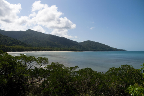 Cabo Tribulação: Daintree, Mossman Gorge e Port Douglas...