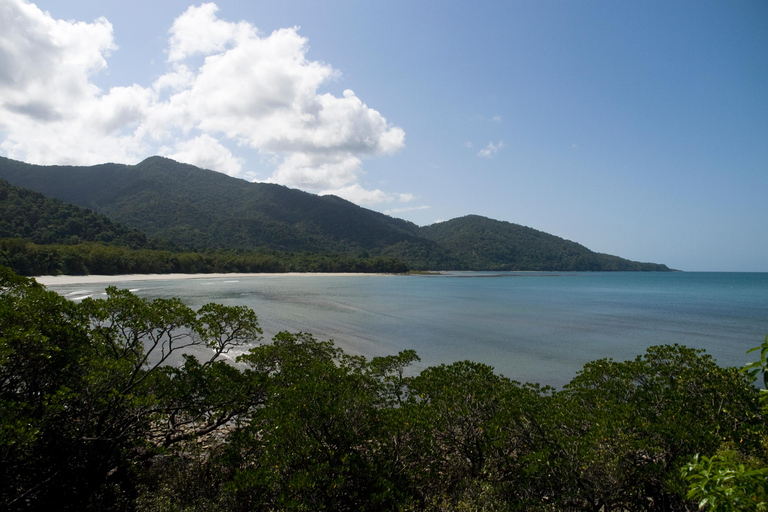 Cape Tribulation : Daintree, Mossman Gorge &amp; Port Douglas...