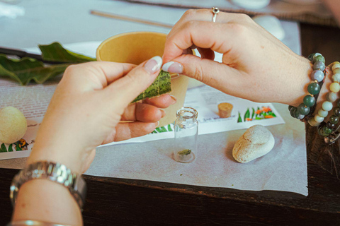 Aruba: Local Fauna and Flora Intention Jar Making Workshop