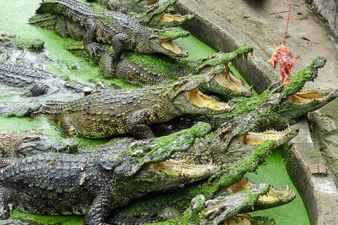 Siem Reap Crocodile Farm Tour With Tuk Tuk Transfer